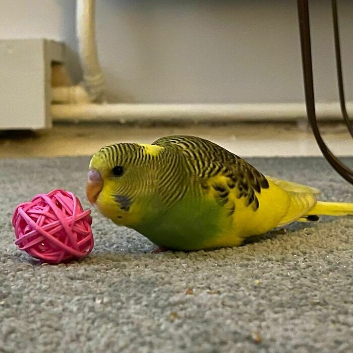 Abracadabra And My Feet Are Gone