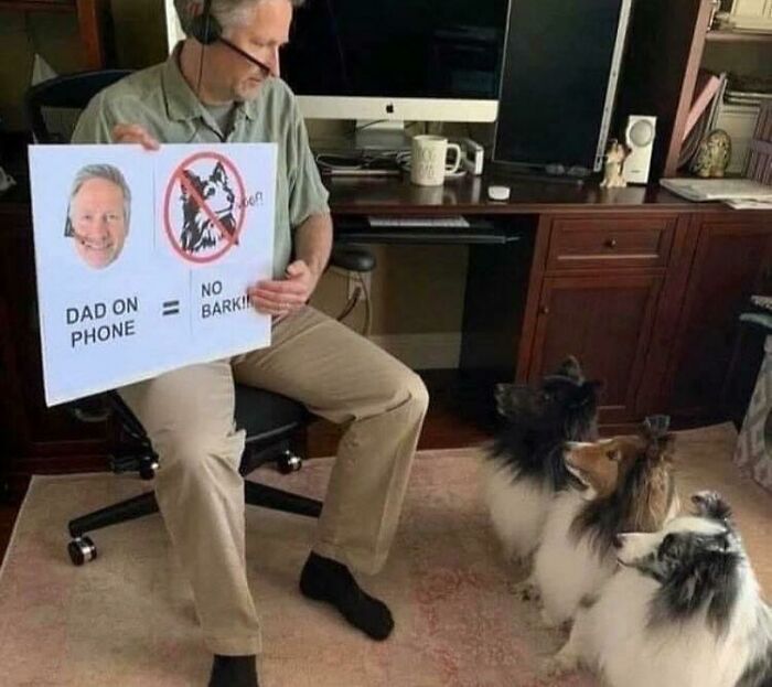 "Not Advertisements But Not Not Advertisements": 50 Funny Memes Without Context