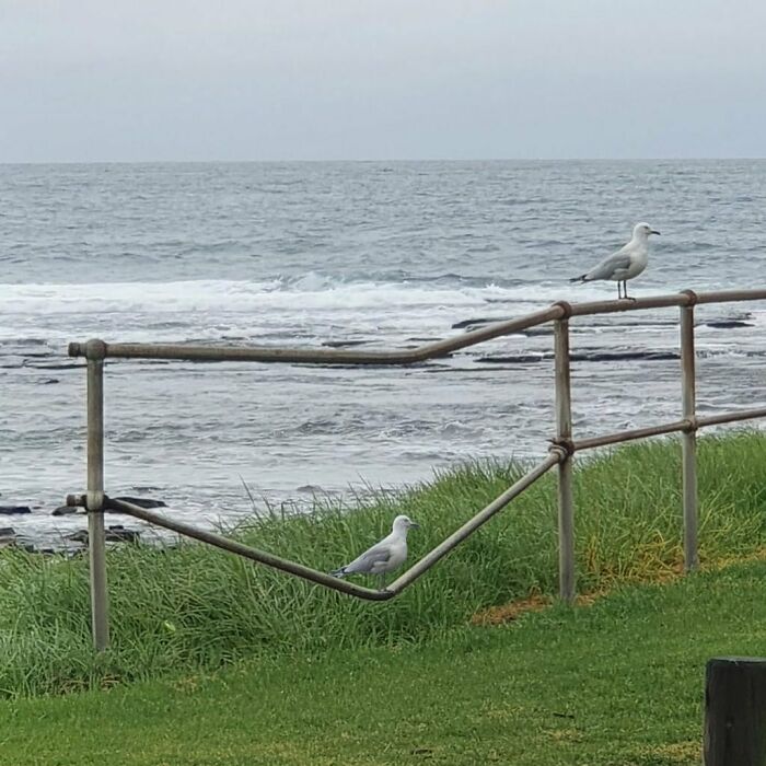 Gallery Of 5 Images.
meta Ore Metan’t - Diz Iz Quetsion
#meta_visions
...
...
...
...
...
#art #memesdaily #memes #memepage #shitpost #artwork #aesthetic #arts #shitposts #weirdmemes #cursedimage #meta #photography #viralsdaily #cursed #creative #wtf #memesdaily #viral #viralphoto #virals #viralvideo #dailyvirals #meme #photo #artist #streetart #visualart