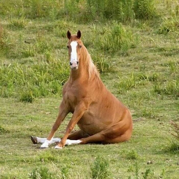 Gallery Of 5 Images.
meta Movmentz
#meta_visions
...
...
...
...
...
#art #memesdaily #memes #memepage #shitpost #artwork #aesthetic #arts #shitposts #weirdmemes #cursedimage #meta #photography #viralsdaily #cursed #creative #wtf #memesdaily #viral #viralphoto #virals #viralvideo #dailyvirals #meme #photo #artist #streetart #visualart