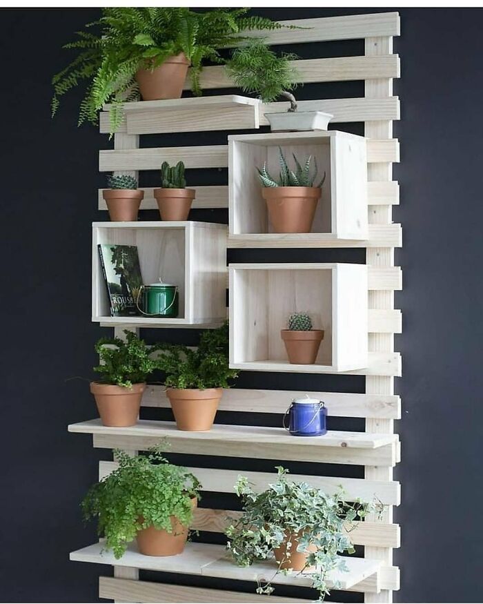 Check The Link In My Bio 🎁 Get Now 👉@wooodprojects
________________
#woodwork #wooden #wooddesign #wood #woodworking #carving #woodporn #woodwork_feature #reclaimedwood #handmade #carpentry #joinery #woodworkingskills #woodcraft # #joint #handmade #wood #timber #carpenter #craftsman #woodcut #woodworkingtools #woodturning #woodworker #woodworkingtips #woodcut Hop #woodhouse #powertools #woodartist Rtist Dlovers #popularwoodworking #woodcut #woodworkingforall #finewoodworking #woodartist #woodworkingplans