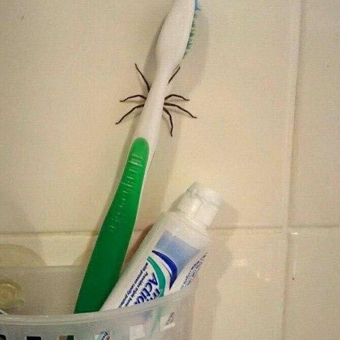 Gallery Of 5 Images.
dide Sumone Sayz Meta?
#meta_visions
...
...
...
#art #memesdaily #memes #memepage #shitpost #artwork #aesthetic #arts #shitposts #weirdmemes #cursedimage #meta #photography #viralsdaily #cursed #creative #wtf #memesdaily #viral #viralphoto #virals #viralvideo #dailyvirals #meme #photo #artist #streetart #visualart