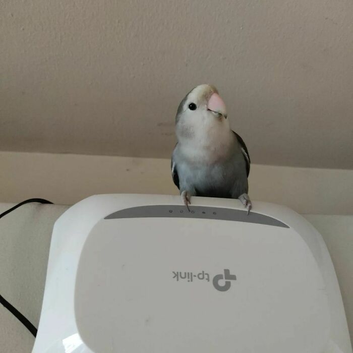 For Advance Technical Services Call 0800-Tsuki00