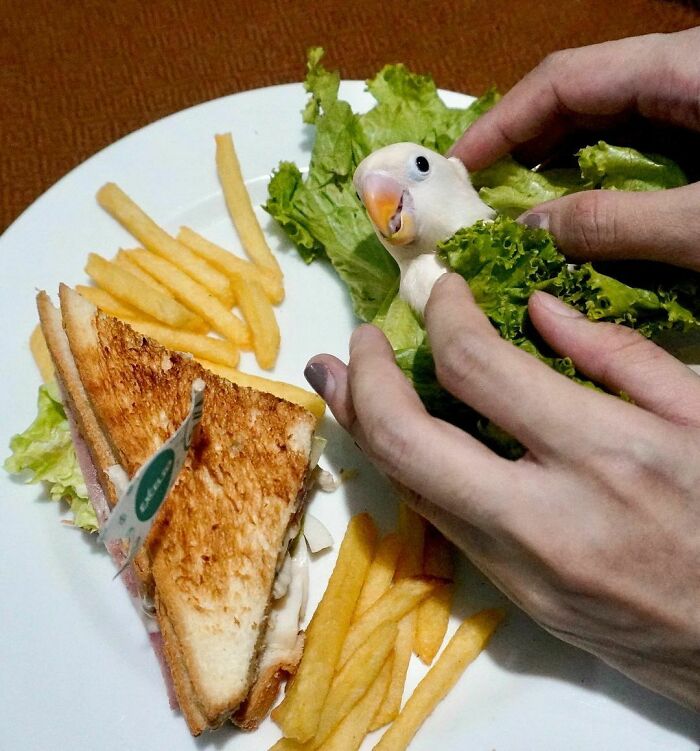 Wrapped With Love, Mom