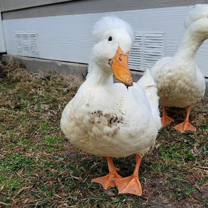 Guess Who Found Some Muddy Puddles Today