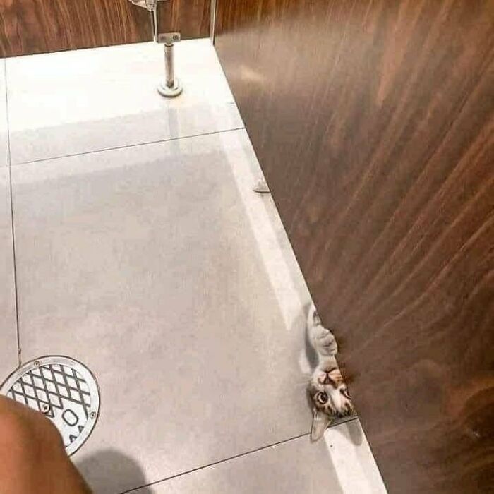 U Got Any Games On Yo Phone?