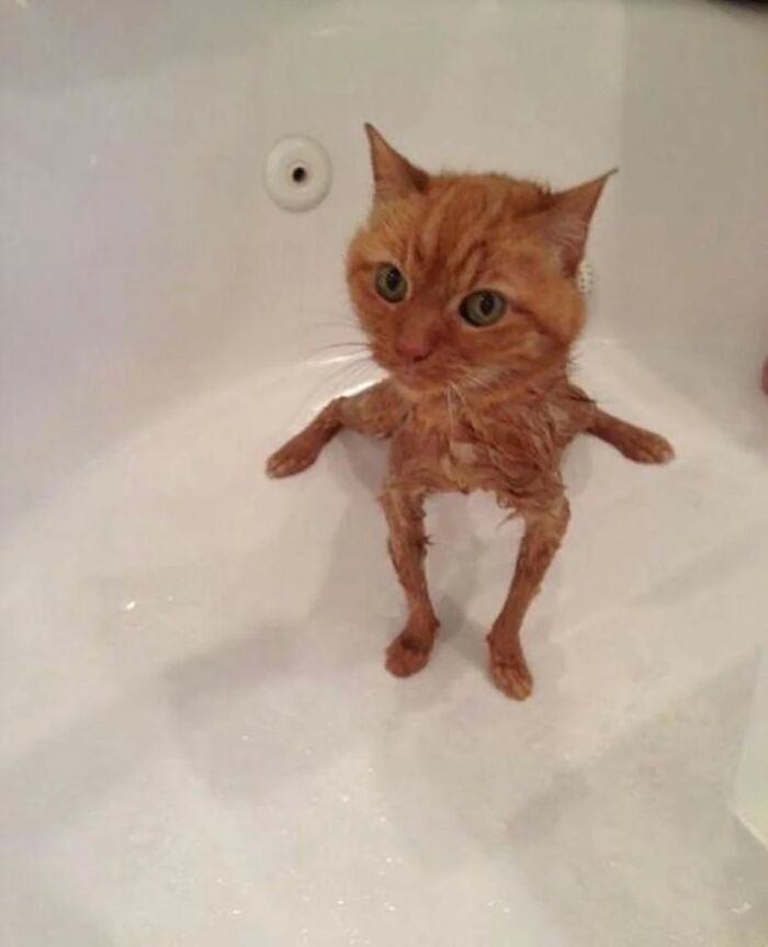 Has Science Gone Toofar?