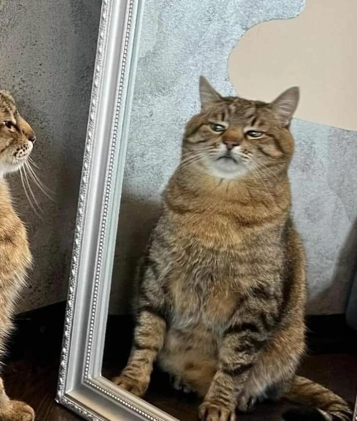 So This Is How I Look Like?