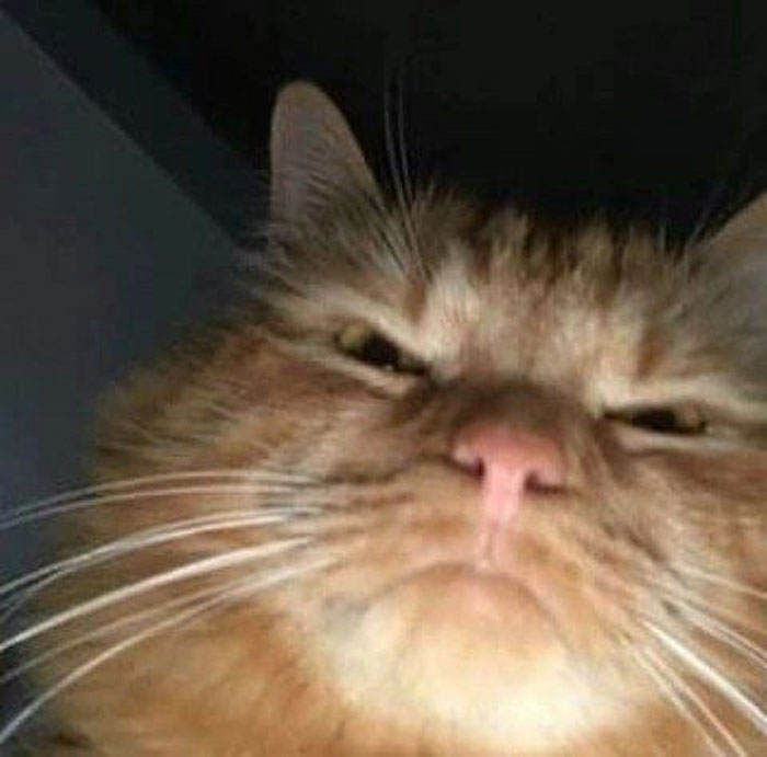 The Last Thing You'll See Before You Die