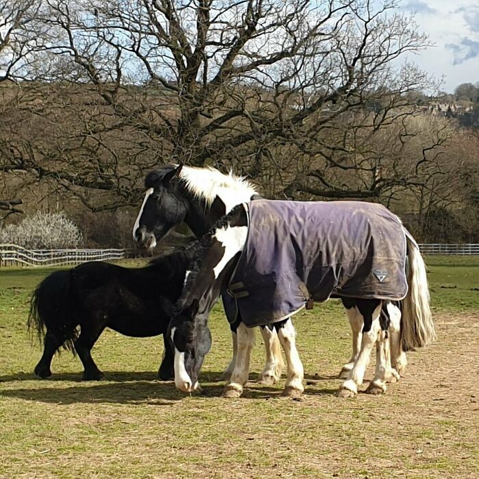 Took Us A While To Realize What’s Going On Here