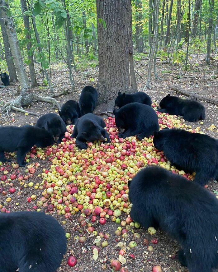 30 Hilariously Goofy Animals To Brighten Up Your Day (New Pics)