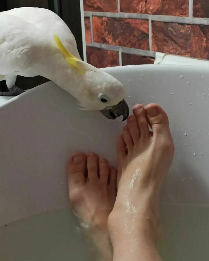 Roma Has To Supervise The People Taking The Bath At All Times