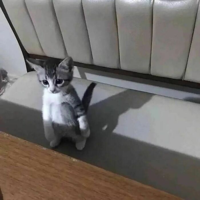 Mom Said It's My Turn