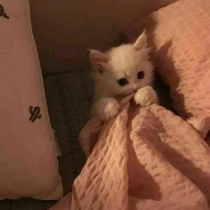 What Is She Afraid Of?