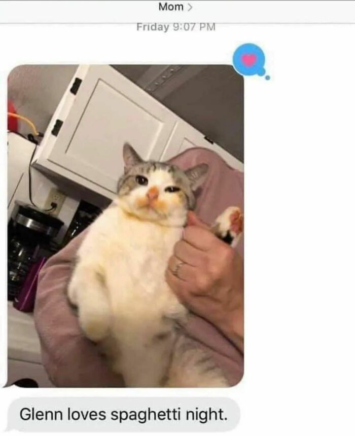 Cat acting goofy being held by owner, with amusing expression, showcasing funny moments shared by Cat Virus.Exe page users.