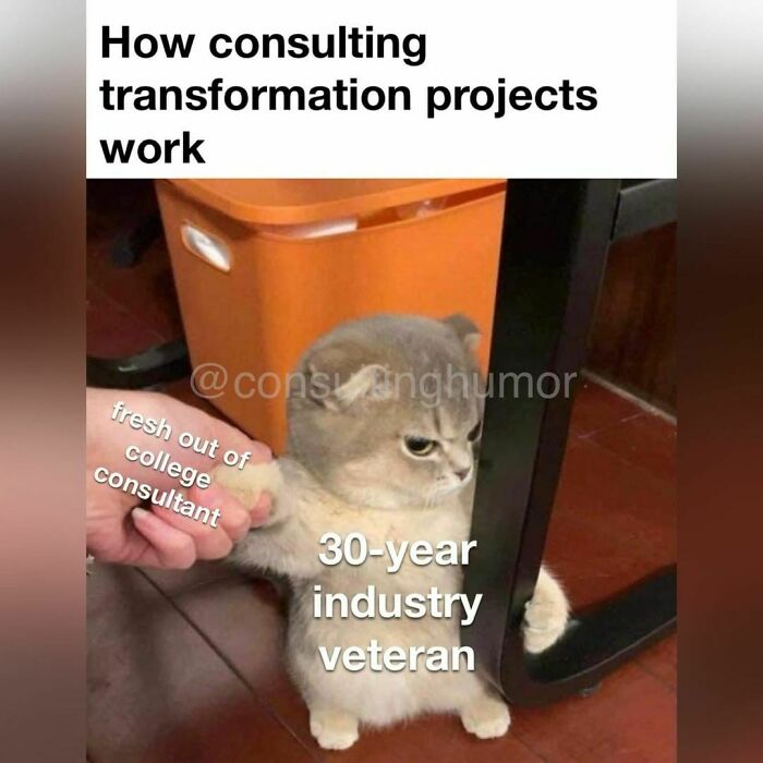 Funny-Consulting-Humor-Jokes