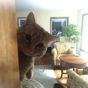 cathrinehuard avatar