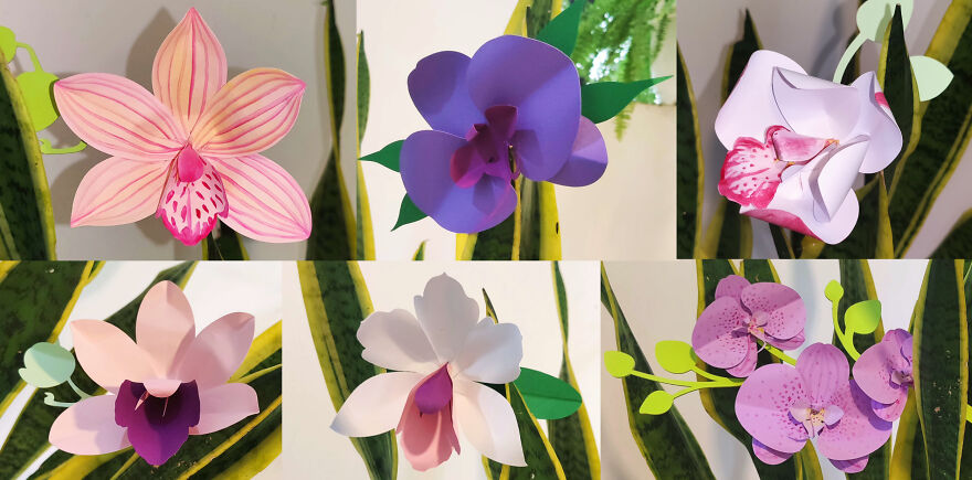 My Paper-Craft Orchid Designs My Paper-Craft Orchid Designs