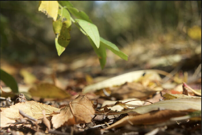 Nature And Photography I Took This!!