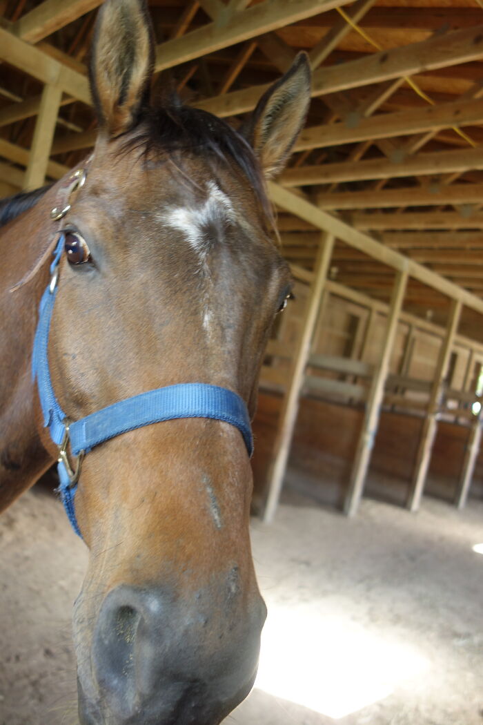 Comin In For A Nibble