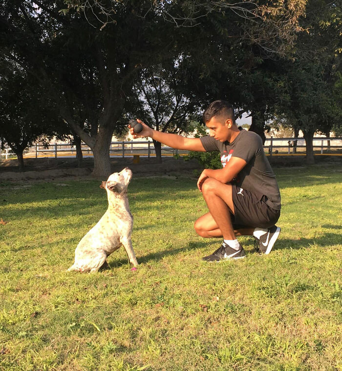 This Dog Was Found Extremely Malnourished, A Few Months Later He’s Unrecognizable As He Recovers And Then Finds A Forever Home - 8