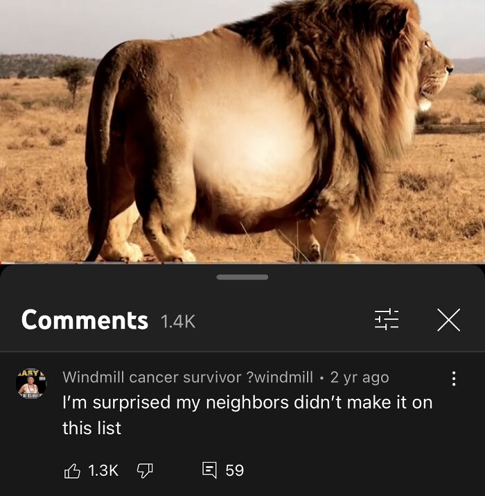 Top 10 Fattest Wild Animals Ever Seen