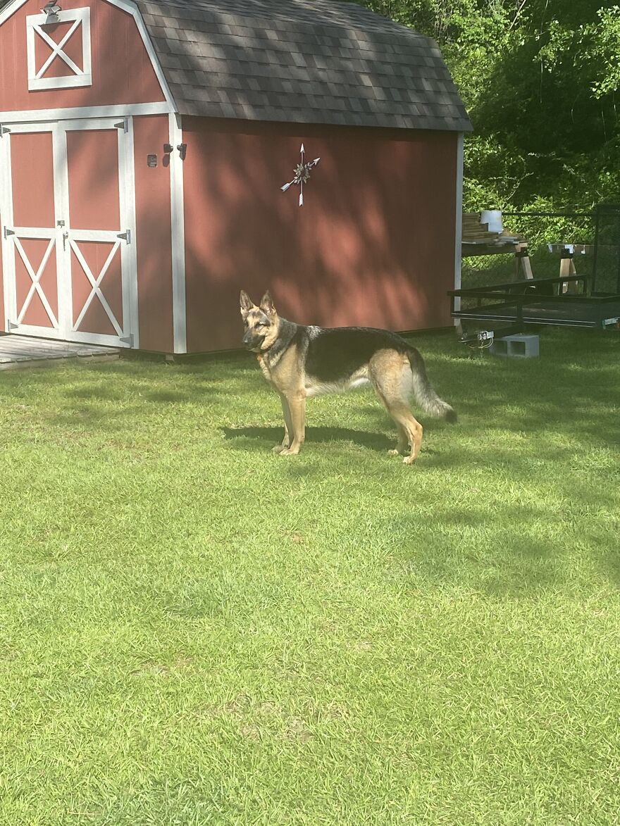 Miss Dolly Madison, Farm Security:)