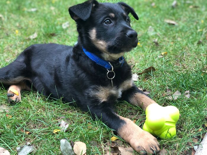 If You Can’t Already Tell, We Are Holding A Ball Out Of The Picture :)