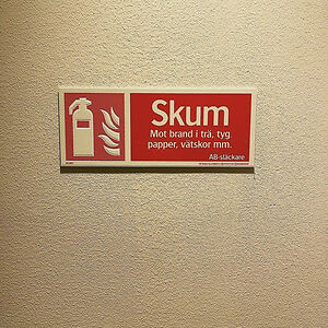 lillyadele315 avatar