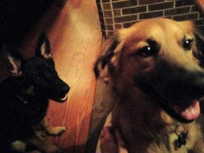 Dont Tell Mom We Have Her Phone!