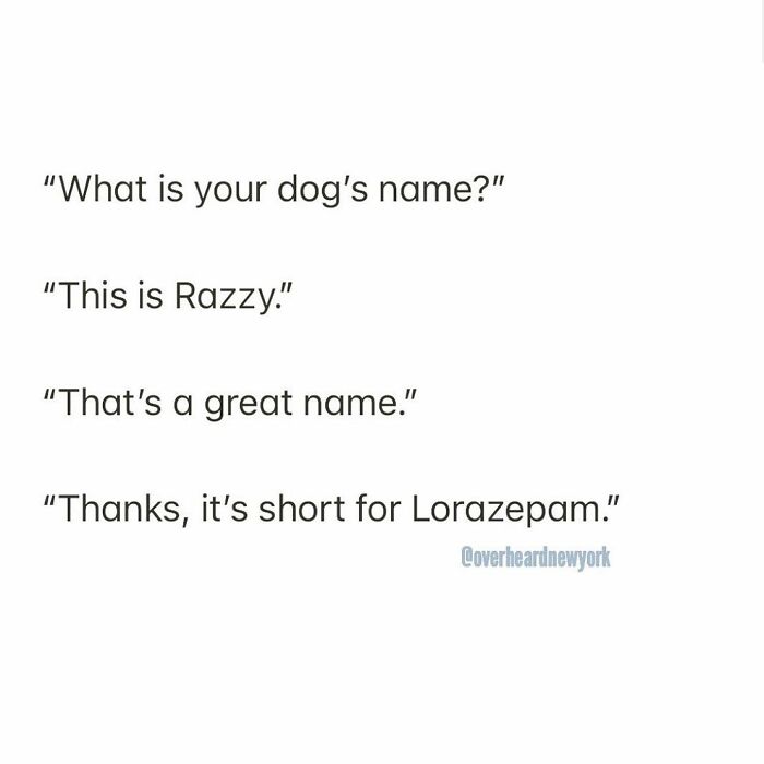 Washington Square Park Small Dog Run