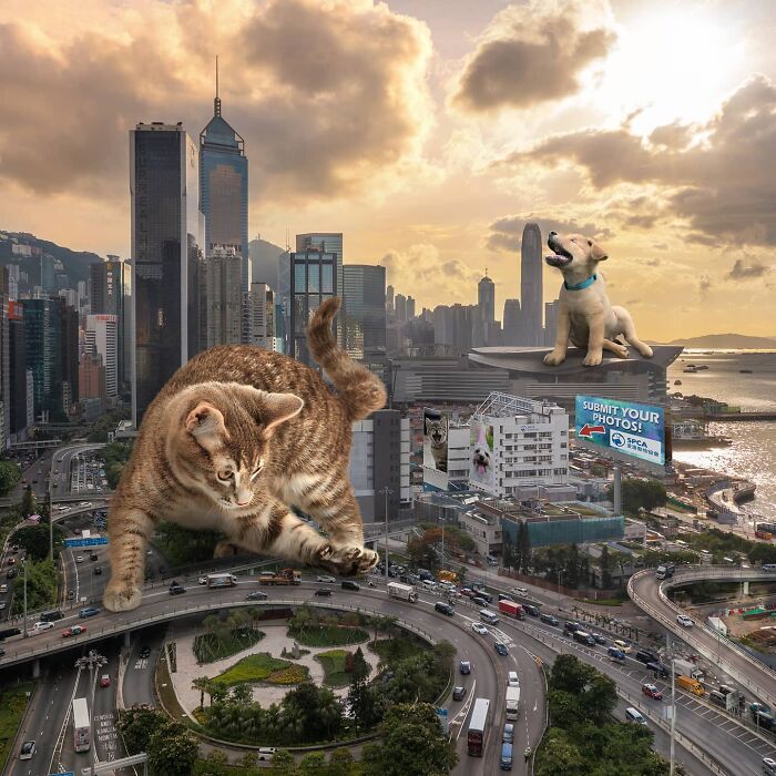 Hong Kong Through The Eyes Of A Photoshop Master (52 New Pics)
