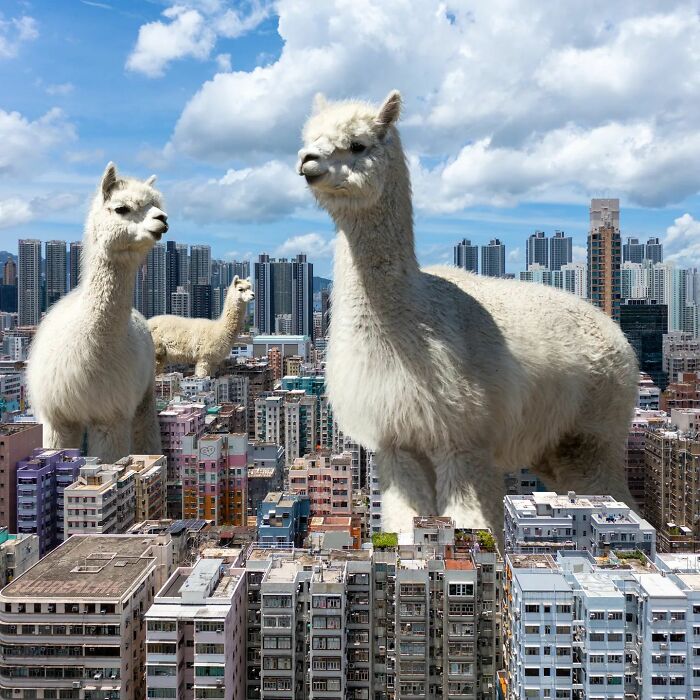 Hong Kong Through The Eyes Of A Photoshop Master (52 New Pics)