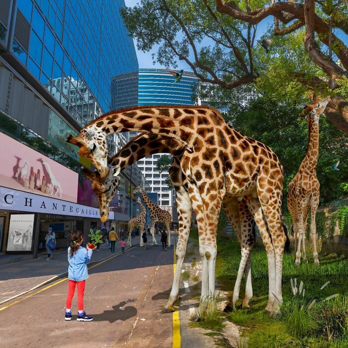 Hong Kong Through The Eyes Of A Photoshop Master (52 New Pics)