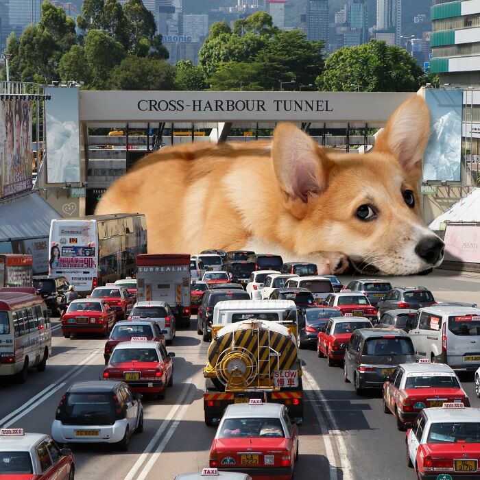 Hong Kong Through The Eyes Of A Photoshop Master (52 New Pics)