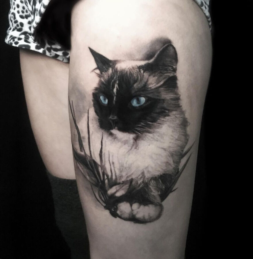 How Much Do People Love Cats? These Tattoos Show Examples Of That