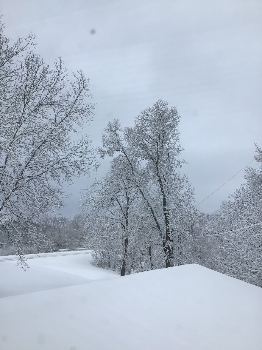 I Made This Rag Doll