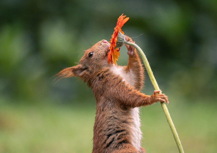 I Worked Together With A Talented Belgian Flower Artist And These Are My 15 Best Shots