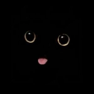 missmayhewsmith avatar