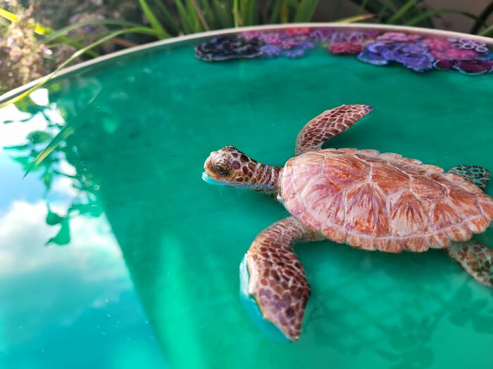 I Create Coffee Tables With Sculpted And Finely Painted Marine Creatures And Corals (13 Pics) - 3