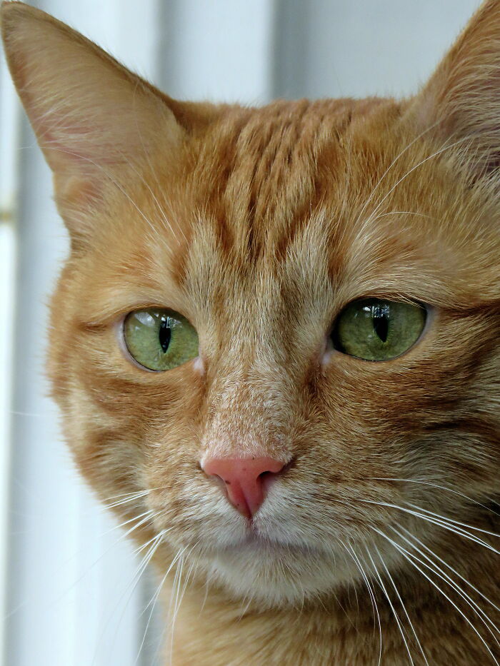 My Beautiful, Serious Boy 🥰