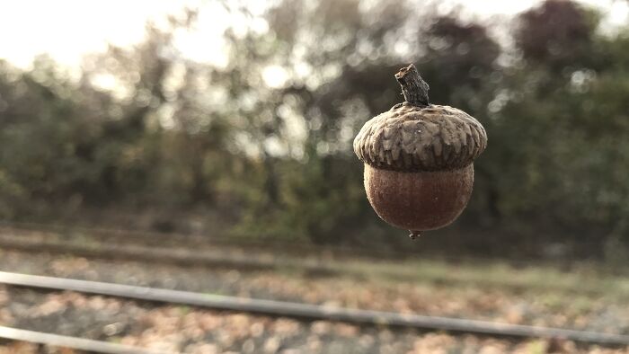 Pictures You Wouldn’t Believe Are Taken With A Smartphone (21 Pics)