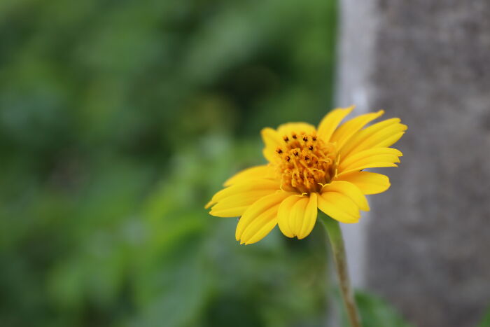 An Unexpected Friend