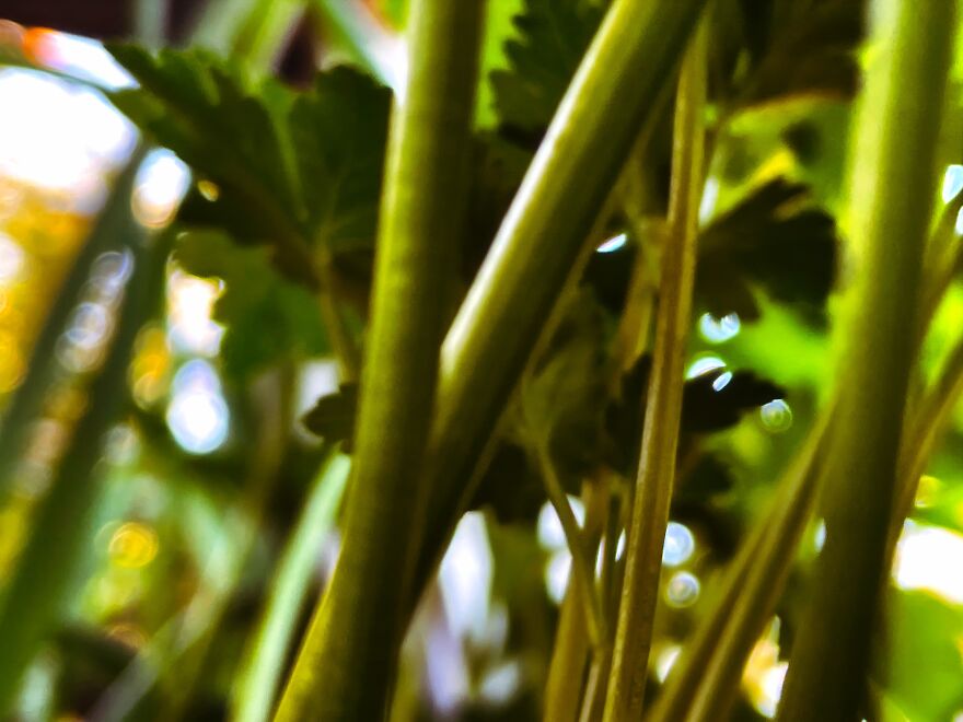 I'm An Amateur Photographer And Here Are My 18 Most Recent Photos