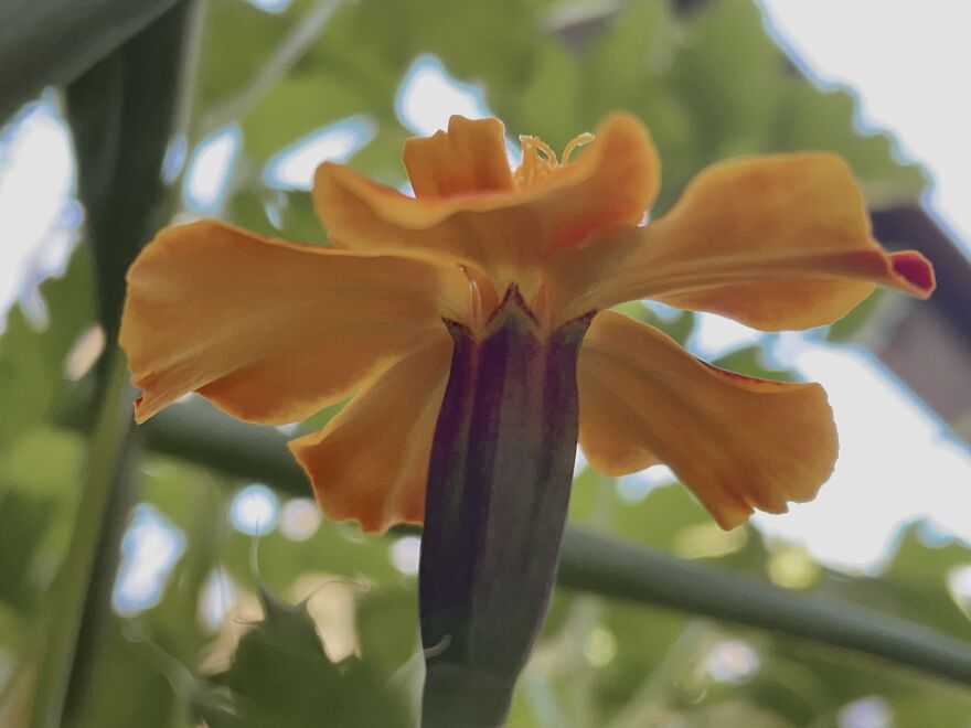 I'm An Amateur Photographer And Here Are My 18 Most Recent Photos