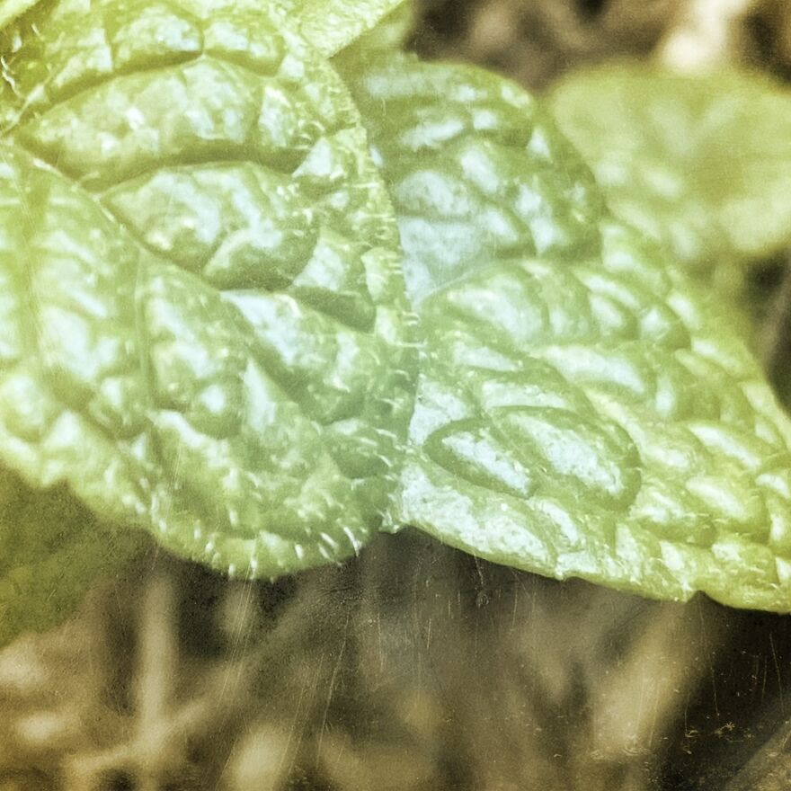 I'm An Amateur Photographer And Here Are My 18 Most Recent Photos