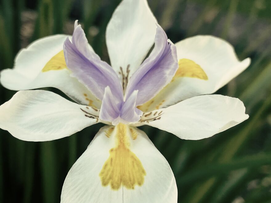 I'm An Amateur Photographer And Here Are My 18 Most Recent Photos