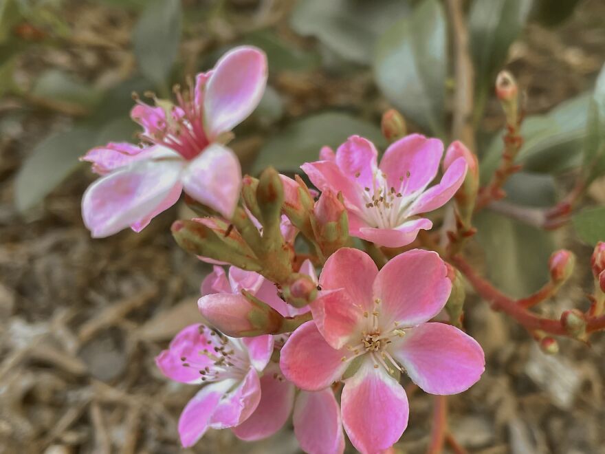 I'm An Amateur Photographer And Here Are My 18 Most Recent Photos