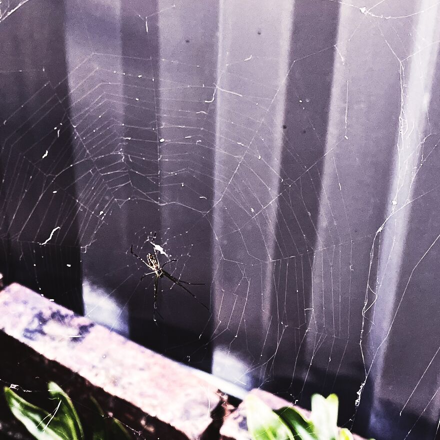 I'm An Amateur Photographer And Here Are My 18 Most Recent Photos