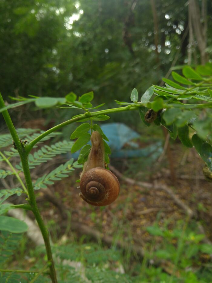 Hey! Wanna Hang-Out!